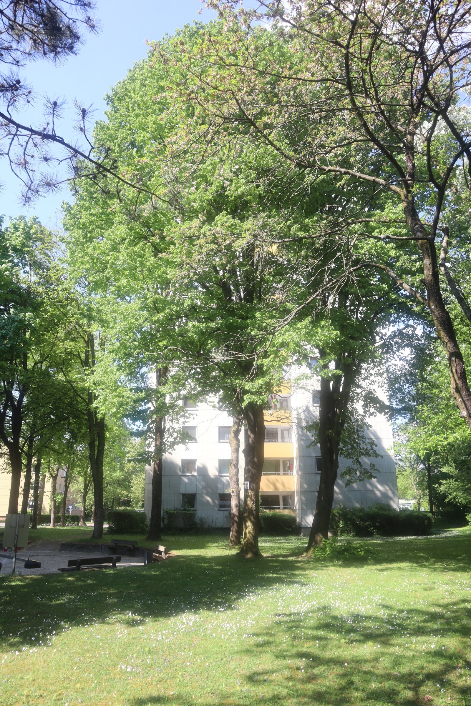 ++ ERHOLEN UND WOHNEN ZUGLEICH ++ SONNIGE 3-ZIMMERWOHNUNG DIREKT AM SEE ++ ++ ERHOLEN UND WOHNEN ZUGLEICH ++ SONNIGE 3-ZIMMERWOHNUNG DIREKT AM SEE ++